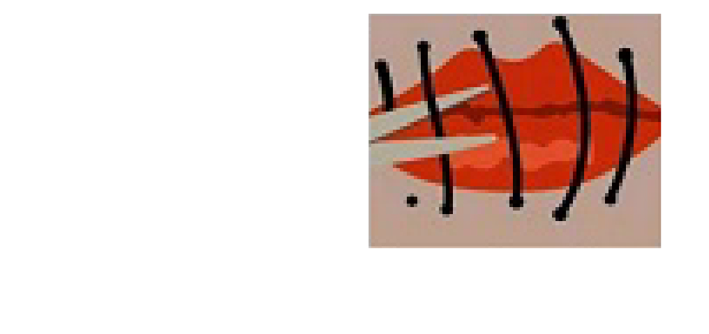 Break The Silence Initiative Nigeria